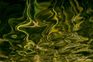 Reed reflection in a small pond under a thin ice cover by Raoul Caprez 